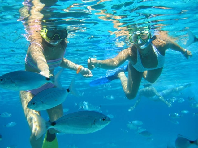 Bancos de peces y Snorkel 