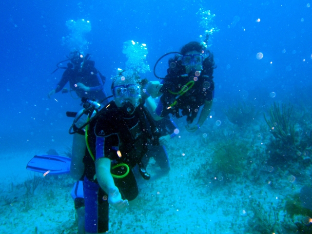  Explorez les profondeurs de la plongée à Formentera 