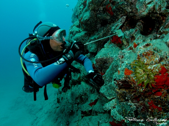  Scénarios de plongée sous-marine à Formentera