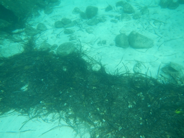 Las profundidades de Formentera para los buceadores