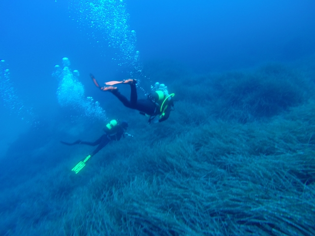 Buceando en Formentera