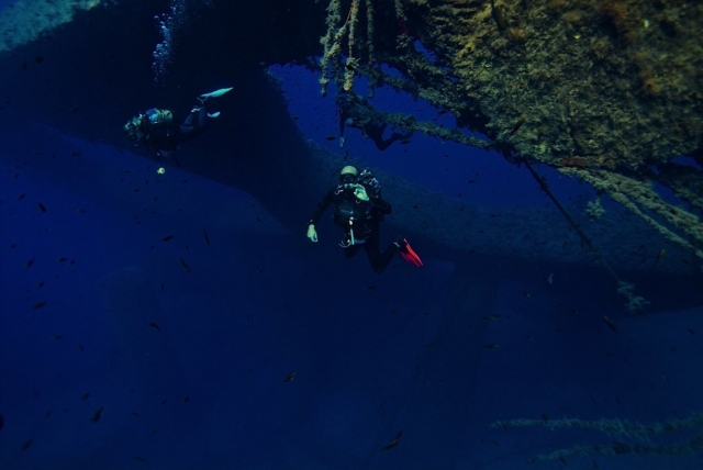  Diving in the Balearic Islands 