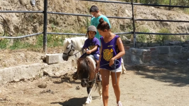  Klasse zu Pferd Reiten auf einem Pony in Barcelona 