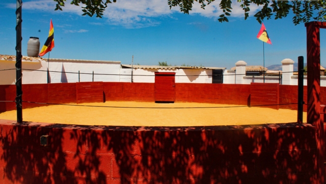 Plaza de toros para celebrar una capea