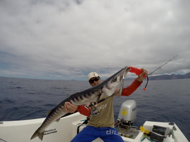  Attraper un gros poisson 