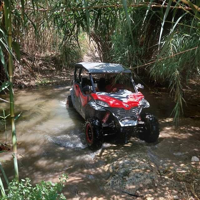 Buggy experience in Benidorm 
