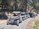Algar Waterfalls two-seater buggy tour 3h30
