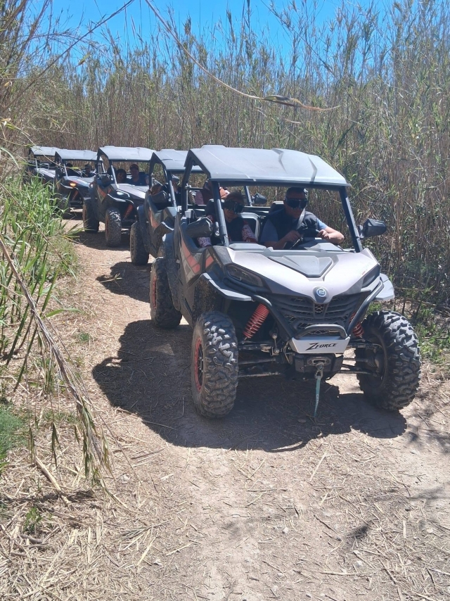 Las aventuras con los buggies