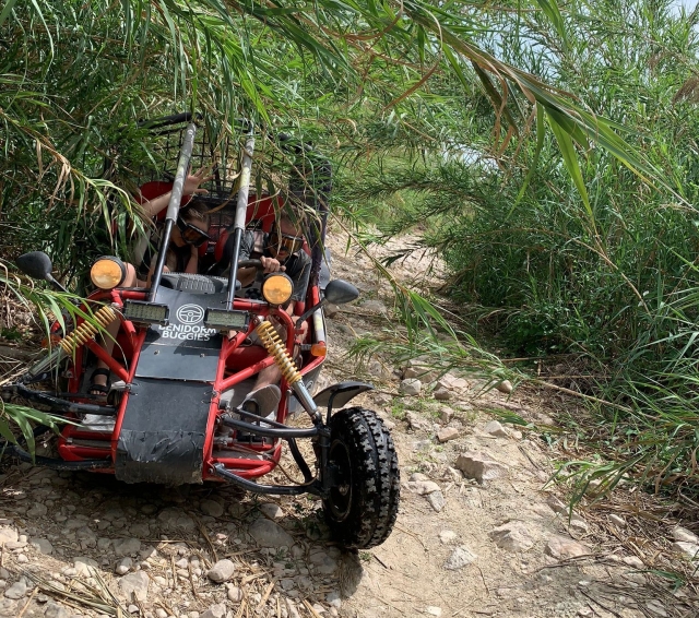 Buggies entre la vegetación