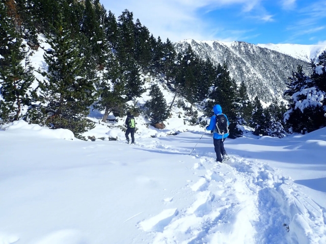  Profitez d'une balade en raquettes à travers les Pyrénées 