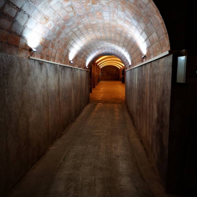  Inside the winery 
