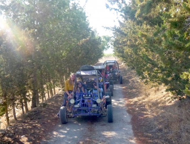 Guided buggy tour through Ricote Valley 