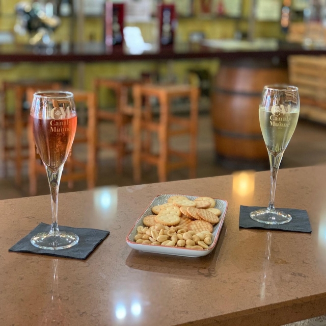 Cata de cava en la bodega