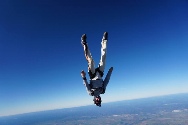 El pino en las alturas 