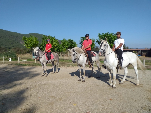  Cavalieri in groppa ai loro cavalli 