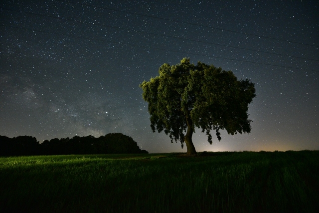 La campiña de noche 