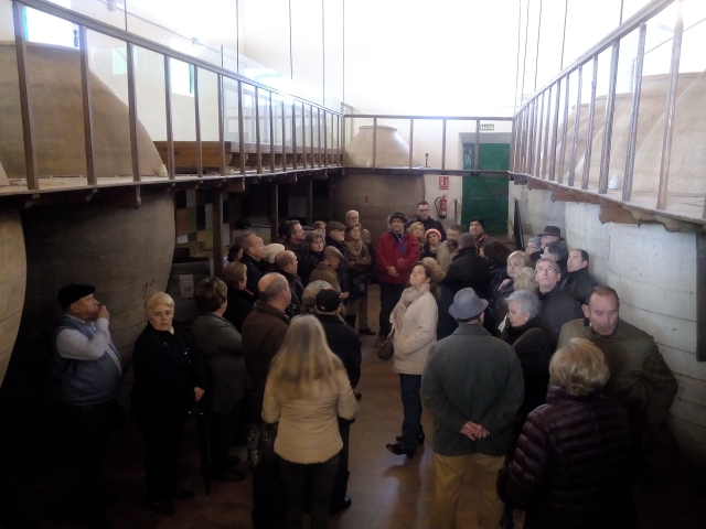 Visita guiada molino de aceite