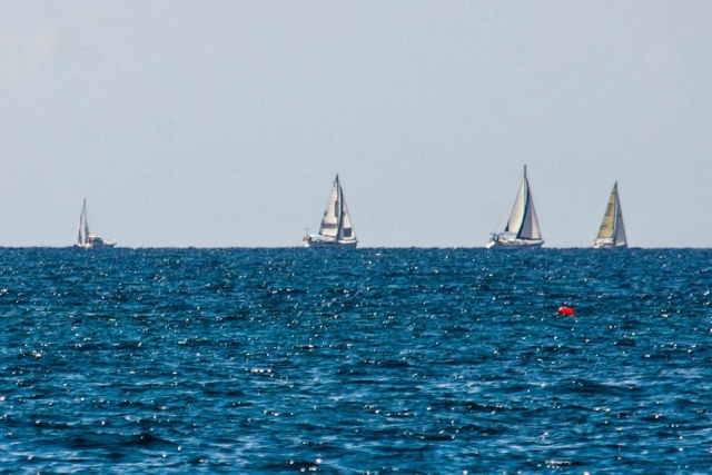  Flotta di vele che navigano lungo la costa meridionale di Tenerife 