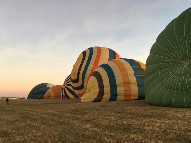 Globos en el campo 
