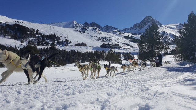  Grandvalira 的马车之旅 