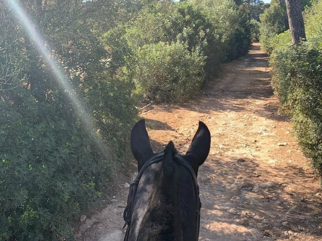  Le long des sentiers de Minorque à cheval 