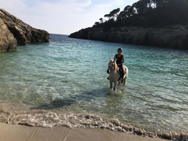 Passeggiata lungo la spiaggia con i cavalli Minorca 