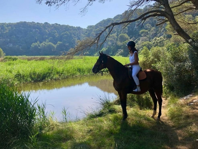  Menorca south trail on horseback