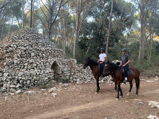  Horseback riding through rural estate Menorca 