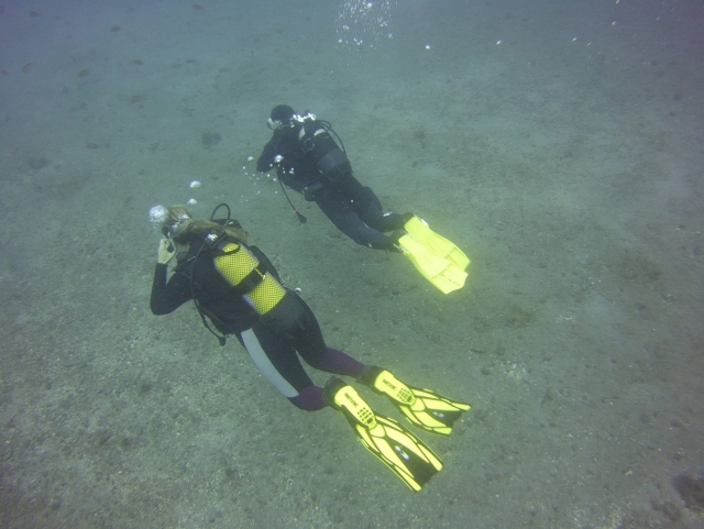  Subacquei sotto il mare 