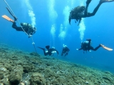 Curso Open Water Diver SDI en Radazul, 2-4 días