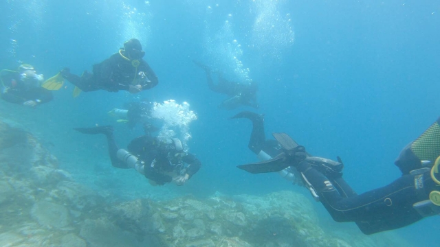  Découverte des fonds marins de Tenerife 
