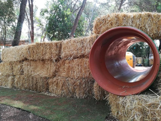 Gotcha infantil entre pinares