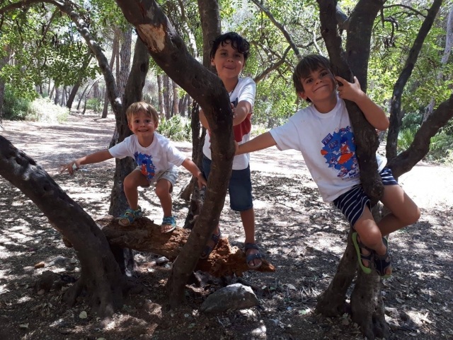 Jugando en los árboles