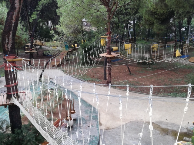  Adventure circuit through the trees 