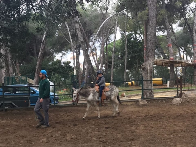  Pony ride through the countryside