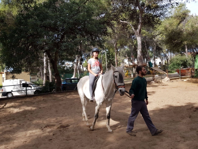  Reiten auf dem Bauernhof 