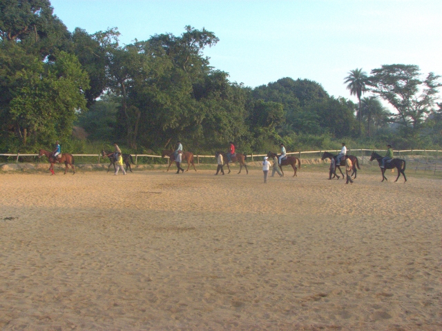  Moniteur d'équitation à Motril