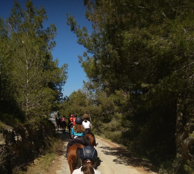 Randonnées à cheval à la ferme 