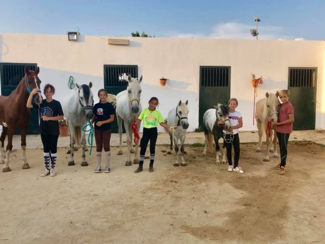 Clase de equitación nivel iniciación 