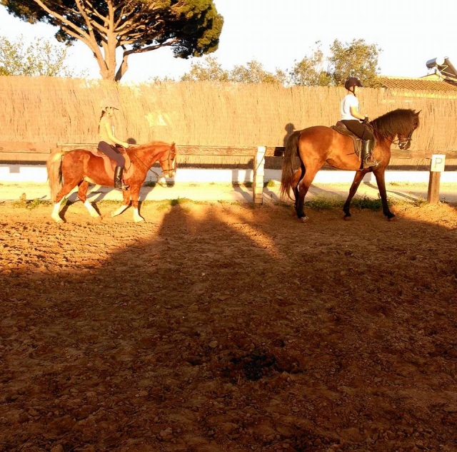  Initiation au cours de dressage à Chiclana 