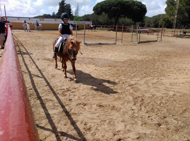  Circuit de saut d'obstacles équestre 