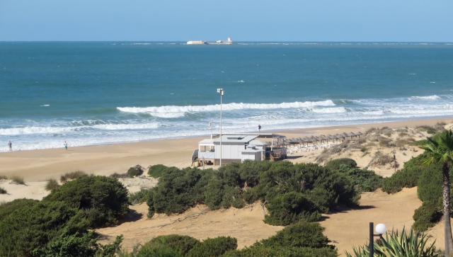 Bordea la Playa de La Barrosa a caballo