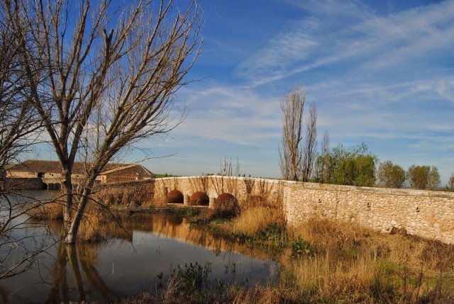  乘坐热气球穿越 Tablas de Daimiel 