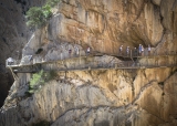 Guided tour of Caminito del Rey 3 hours