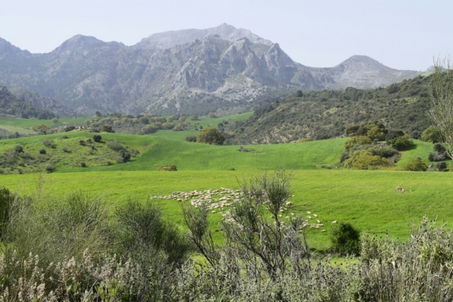 Entorno natural en Antequera