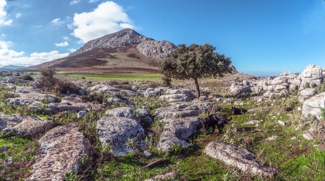  Visite de l'espace naturel de Antequera 