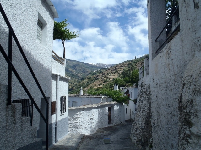  Passeio guiado por Capileira 