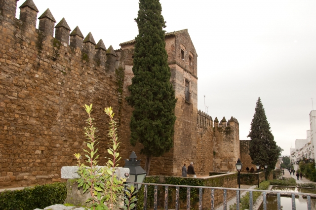 Visita dell'interno della Moschea 