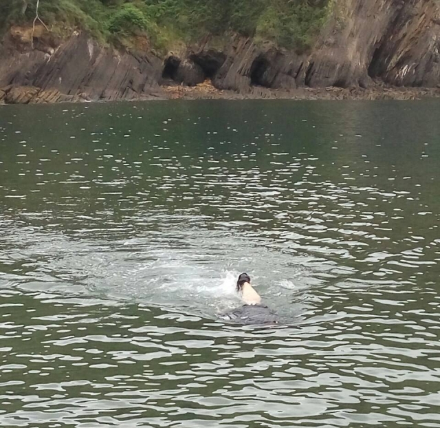  Snorkeling à Armintza 