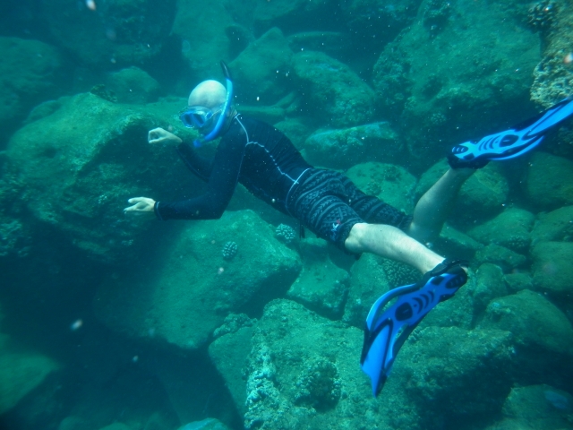 Snorkeling sur la côte basque 